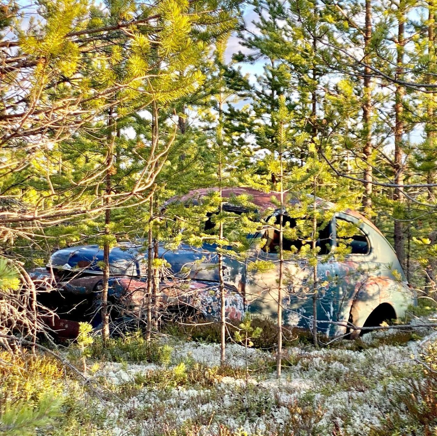 Hotel Offroadcamp à Sörsjön Extérieur photo